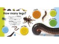 First Facts Bugs