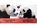 DK Baby Touch and Feel. Panda
