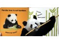 DK Baby Touch and Feel. Panda