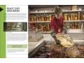 Behind the Scenes at the Museum