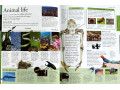 The New Children's Encyclopedia The New Children's Encyclopedia