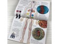 Eyewonder Human Body Eyewonder Human Body