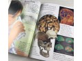Eyewonder Human Body Eyewonder Human Body
