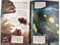 Eyewonder Oceans