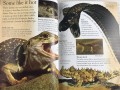 Eyewonder Reptiles