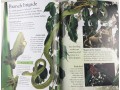 Eyewonder Reptiles