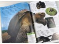 Eyewonder Reptiles