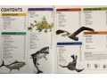 Knowledge Encyclopedia: Ocean!