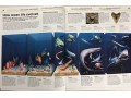 Knowledge Encyclopedia: Ocean!
