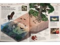 Knowledge Encyclopedia: Ocean!