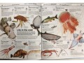 Knowledge Encyclopedia: Ocean!