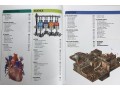 Knowledge Encyclopedia: The World as You've Never Seen It Before