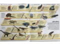 Knowledge Encyclopedia Planet Earth!: Our Exciting World As You've Never Seen It Before