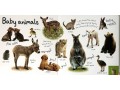 DK My First Animals