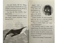 The Secret Explorers