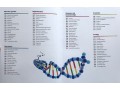 Super Simple Biology
