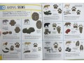 Survival for Beginners: A step-by-step guide to camping and outdoor skills