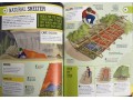 Survival for Beginners: A step-by-step guide to camping and outdoor skills