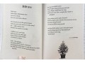 Christmas Poems