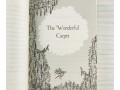 Nature Stories by Enid Blyton