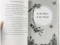 Summer Adventure Stories by Enid Blyton