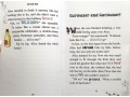 Geronimo Classic Tales. Alice in Wonderland