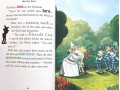 Geronimo Classic Tales. The Wonderful Wizard of Oz