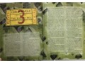 Harry Potter and the Prisoner of Azkaban: Illustrated Edition
