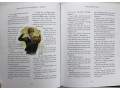 Harry Potter and the Prisoner of Azkaban: Illustrated Edition