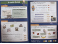 Comprehension Activity Book. Ages 5-6 Comprehension Activity Book. Ages 5-6