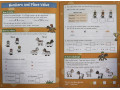 Maths Activity Book. Ages 6-7 (Year 2) Maths Activity Book. Ages 6-7 (Year 2)