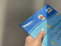 УЦЕНКА. Grammar, Punctuation & Spelling Activity Book. Ages 8-9 (Year 4) УЦЕНКА. Grammar, Punctuation & Spelling Activity Book. Ages 8-9 (Year 4)