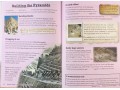 KS2 Discover & Learn: History - Ancient Egyptians SB+WB