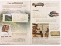 KS2 Discover & Learn: History - Mayan Civilisation
