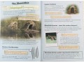 KS2 Discover & Learn: History - Stone Age to Celts, Year 3 & 4