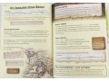 KS2 Discover & Learn: History - Stone Age to Celts, Year 3 & 4