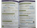 KS3 English Complete Revision & Practice (with Online Edition, Quizzes and Knowledge Organisers) KS3 English Complete Revision & Practice (with Online Edition, Quizzes and Knowledge Organisers)
