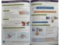 KS3 Science Complete Revision & Practice – Foundation (inc. Online Edition, Videos & Quizzes)