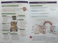 KS3 Science Complete Revision & Practice – Higher (includes Online Edition, Videos & Quizzes)