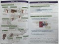 KS3 Science Complete Revision & Practice – Higher (includes Online Edition, Videos & Quizzes)