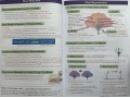 KS3 Science Complete Revision & Practice – Higher (includes Online Edition, Videos & Quizzes)