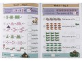 KS1 Maths Daily Practice Book Bundle: Year 1 - Autumn Term, Spring Term & Summer Term
