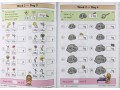 KS1 Maths Daily Practice Book Bundle: Year 2 - Autumn Term, Spring Term & Summer Term