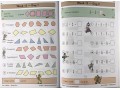 KS2 Maths Daily Practice Book Bundle: Year 4 - Autumn Term, Spring Term & Summer Term