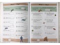  KS2 Maths Daily Practice Book Bundle: Year 5 - Autumn Term, Spring Term & Summer Term