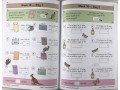  KS2 Maths Daily Practice Book Bundle: Year 5 - Autumn Term, Spring Term & Summer Term