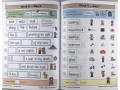Phonics Daily Practice Book Bundle: Reception - Autumn Term, Spring Term & Summer Term