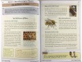  Reading Targeted Question Book Year4