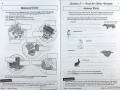KS2 Science Year 3 Workout Bundle