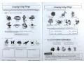 KS2 Science Year 4 Workout Bundle